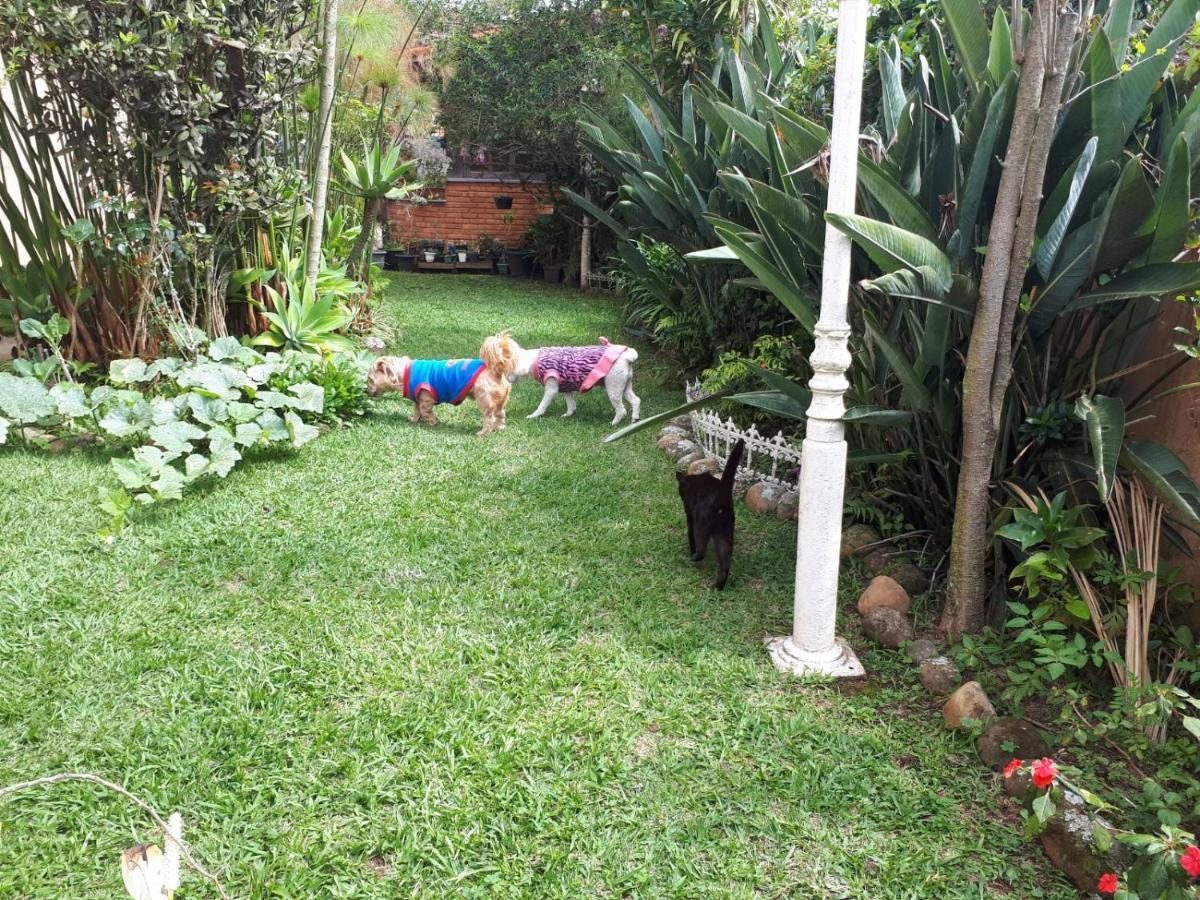 Suite Com Vista Da Serra Teresopolis Exterior photo